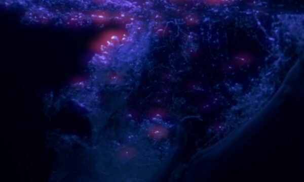 Still 2025-12-11 105608_1.1.3